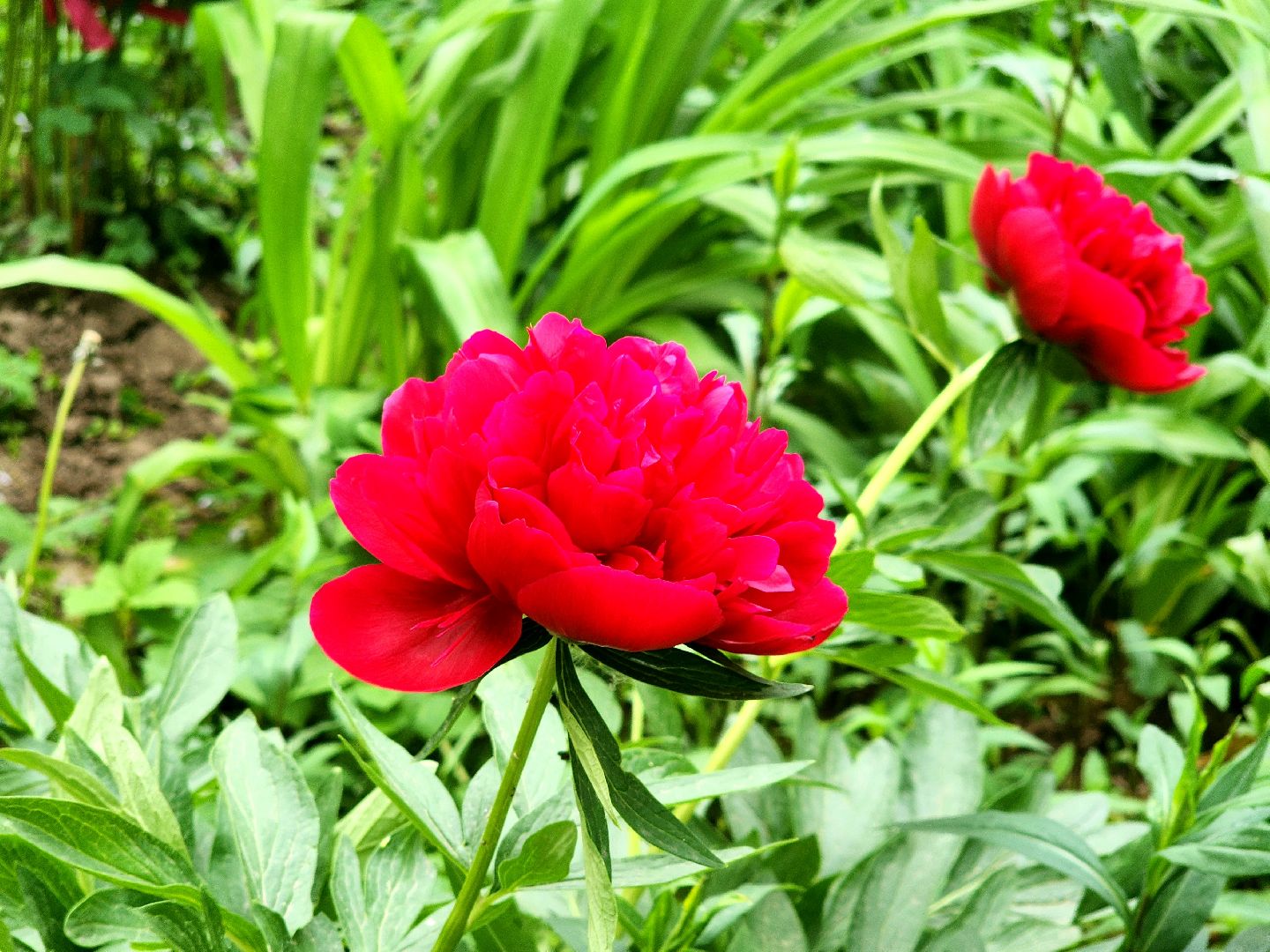 пущино, серпухов, благоустройство,