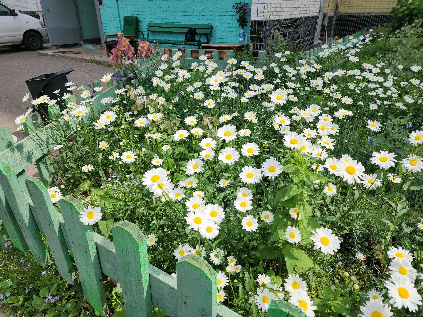 пущино, серпухов, благоустройство,