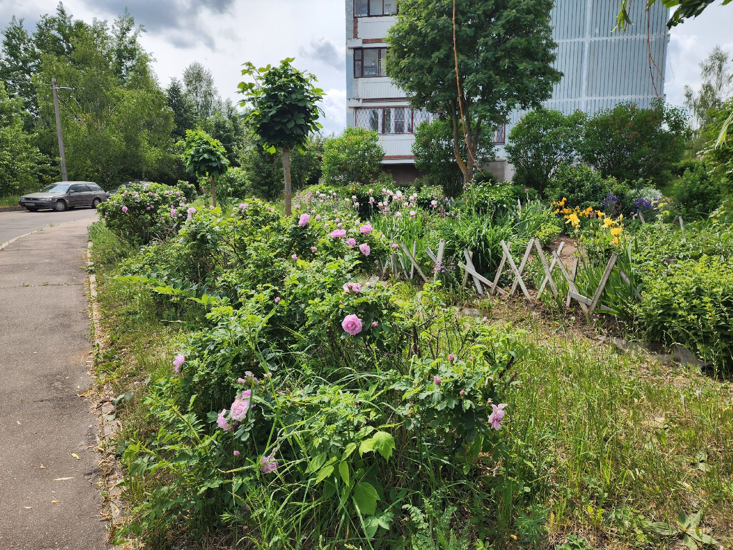 пущино, серпухов, благоустройство,