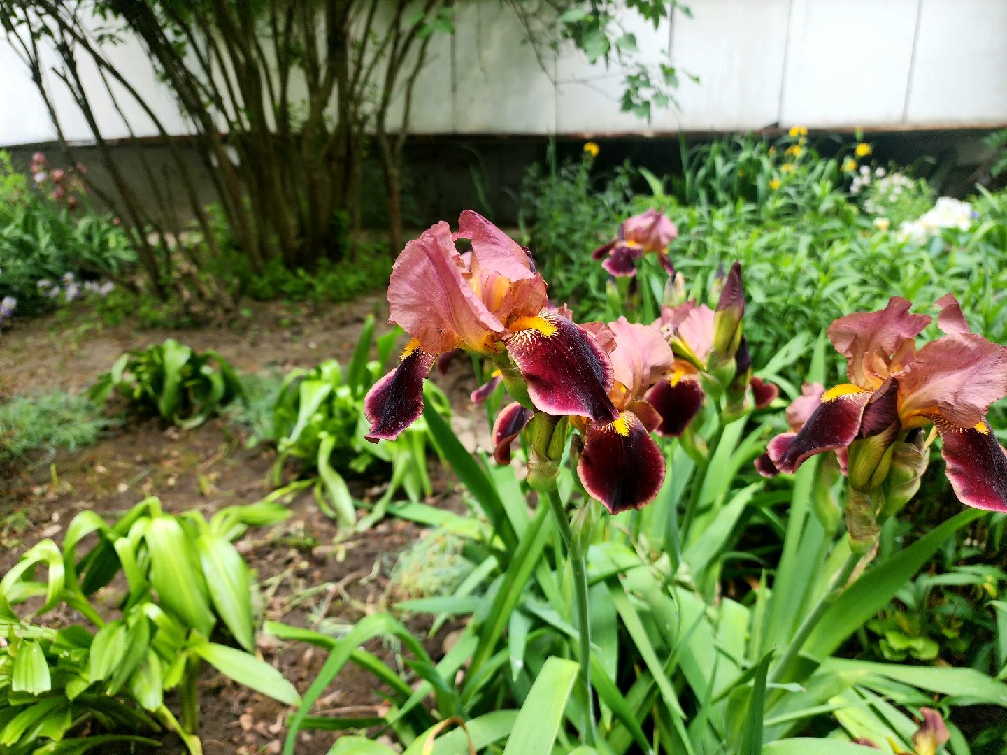 пущино, серпухов, благоустройство,