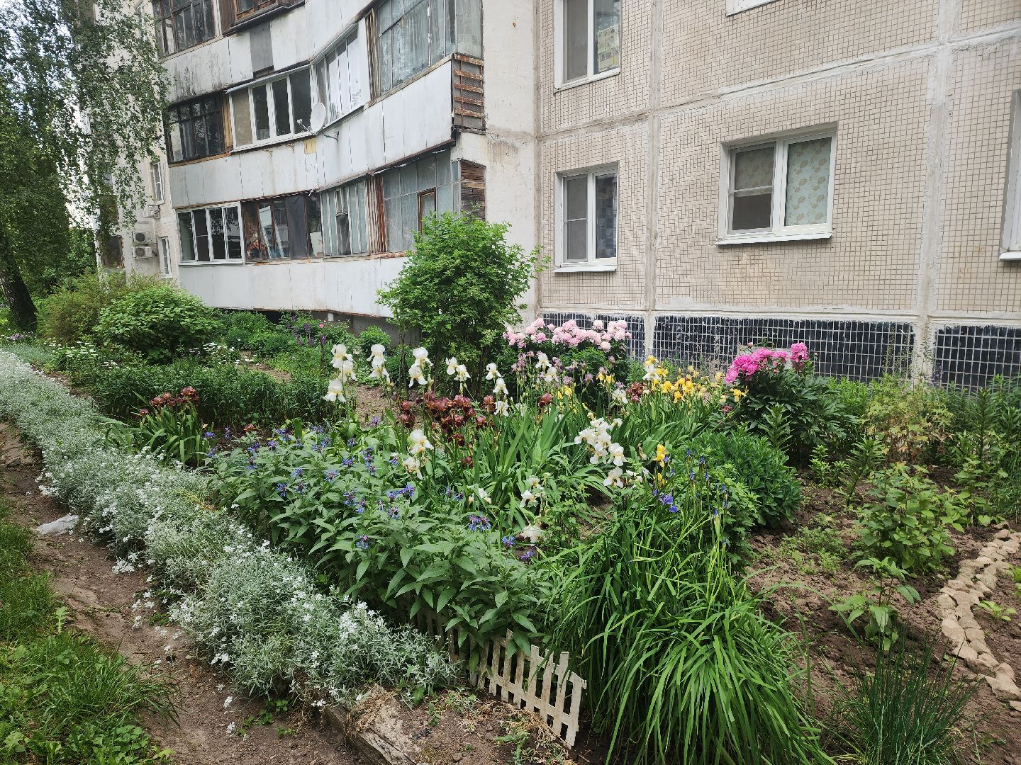 пущино, серпухов, благоустройство,