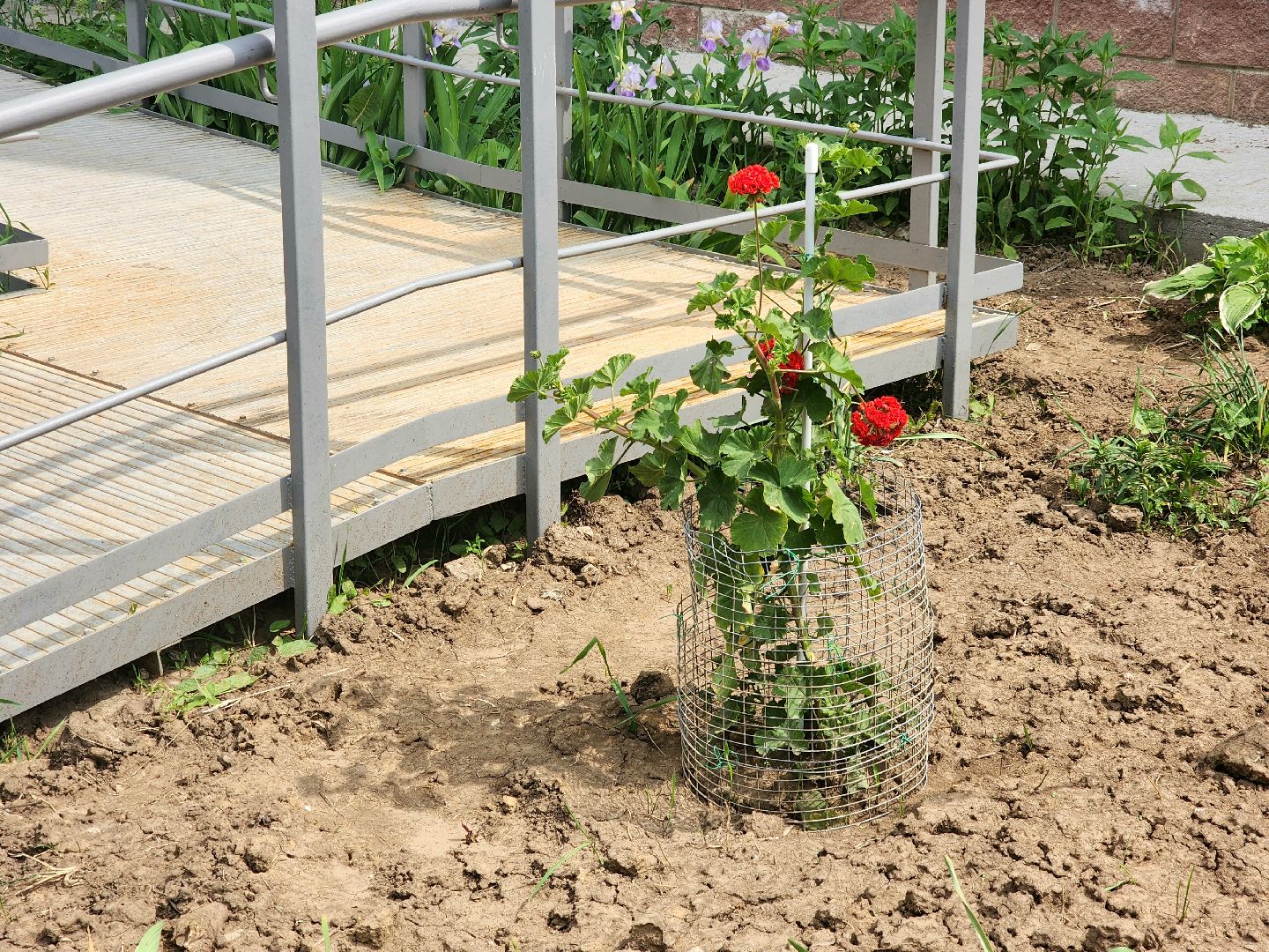 пущино, серпухов, благоустройство,