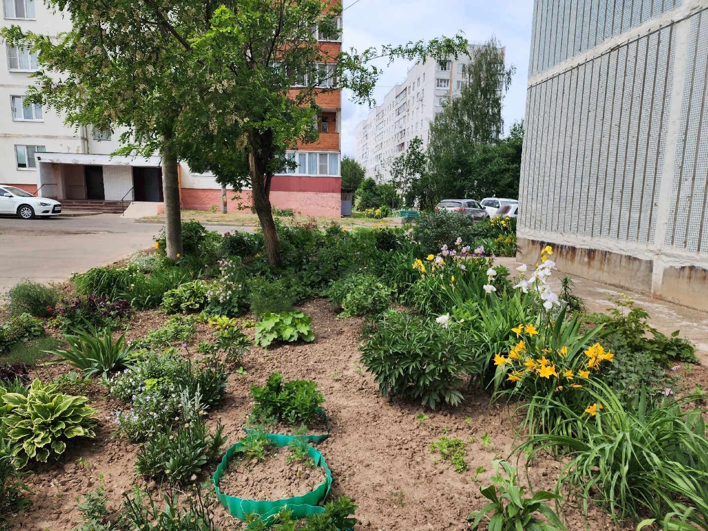 пущино, серпухов, благоустройство,