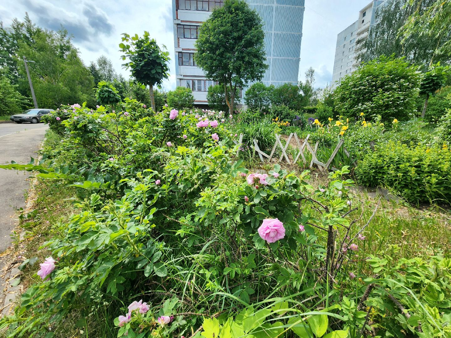 пущино, серпухов, благоустройство,