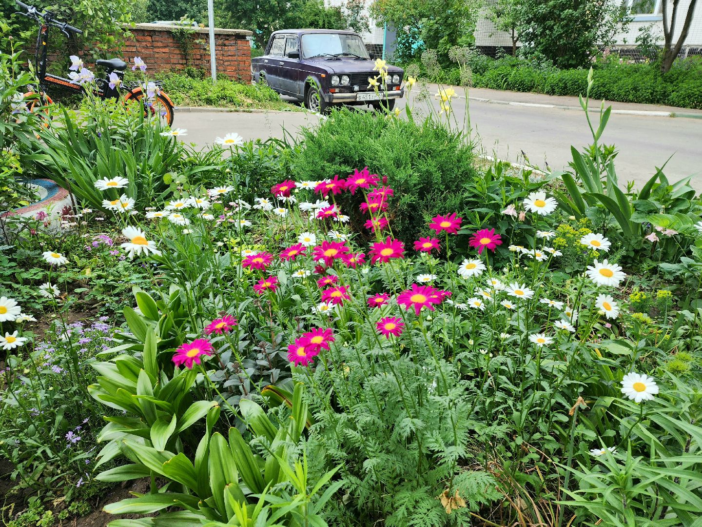 пущино, серпухов, благоустройство,