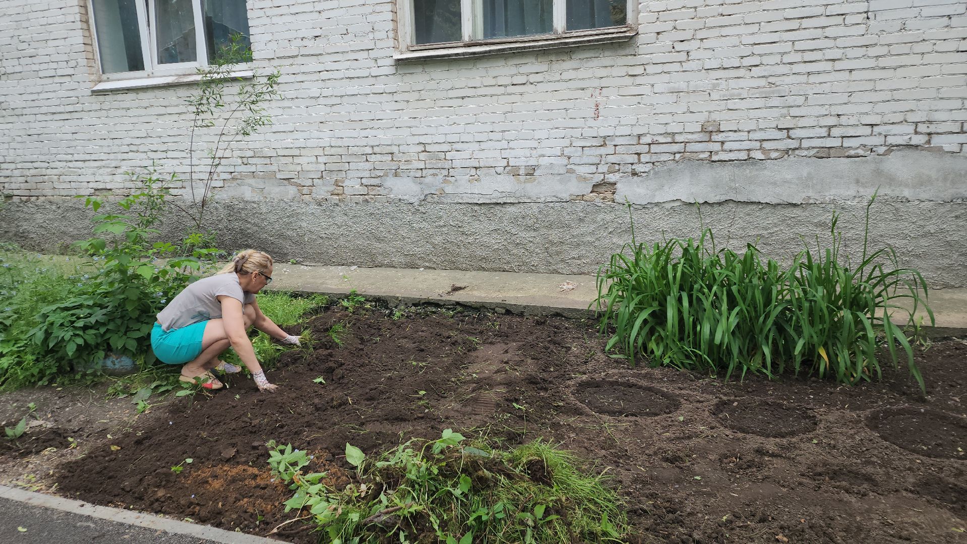 ивантеевка, пушкинский, вертикалки, цветник, жители, инициатива жителей, газон, цветы,асфальтирование дворов,