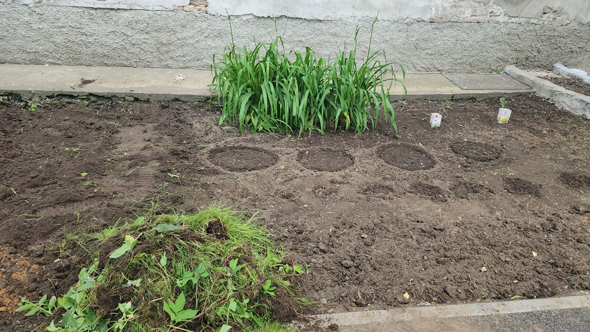 ивантеевка, пушкинский, вертикалки, цветник, жители, инициатива жителей, газон, цветы,асфальтирование дворов,