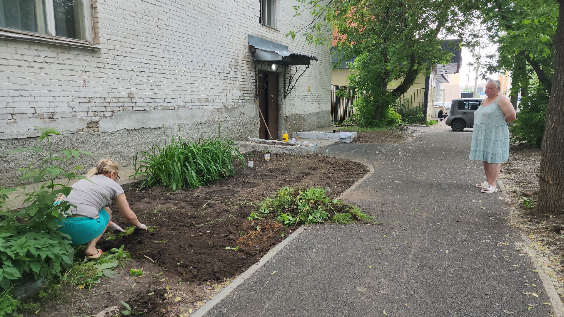ивантеевка, пушкинский, вертикалки, цветник, жители, инициатива жителей, газон, цветы,асфальтирование дворов,
