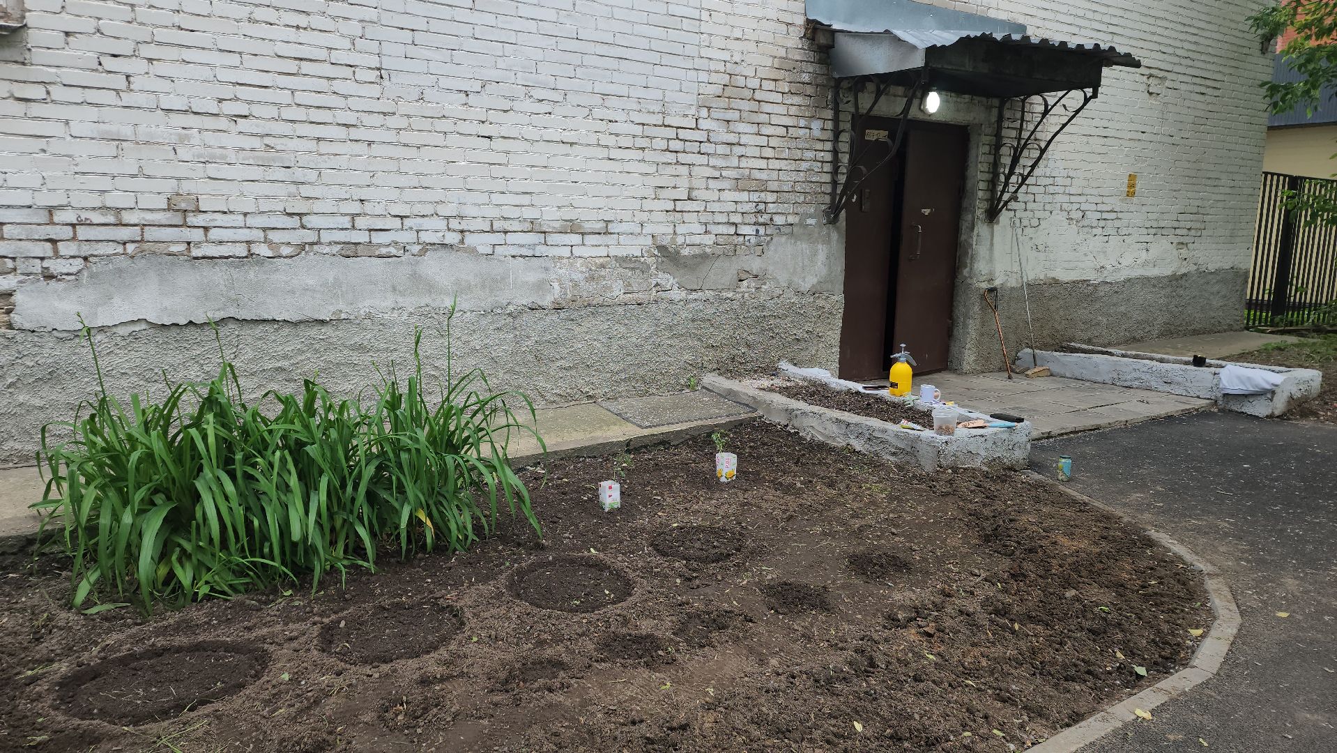 ивантеевка, пушкинский, вертикалки, цветник, жители, инициатива жителей, газон, цветы,асфальтирование дворов,