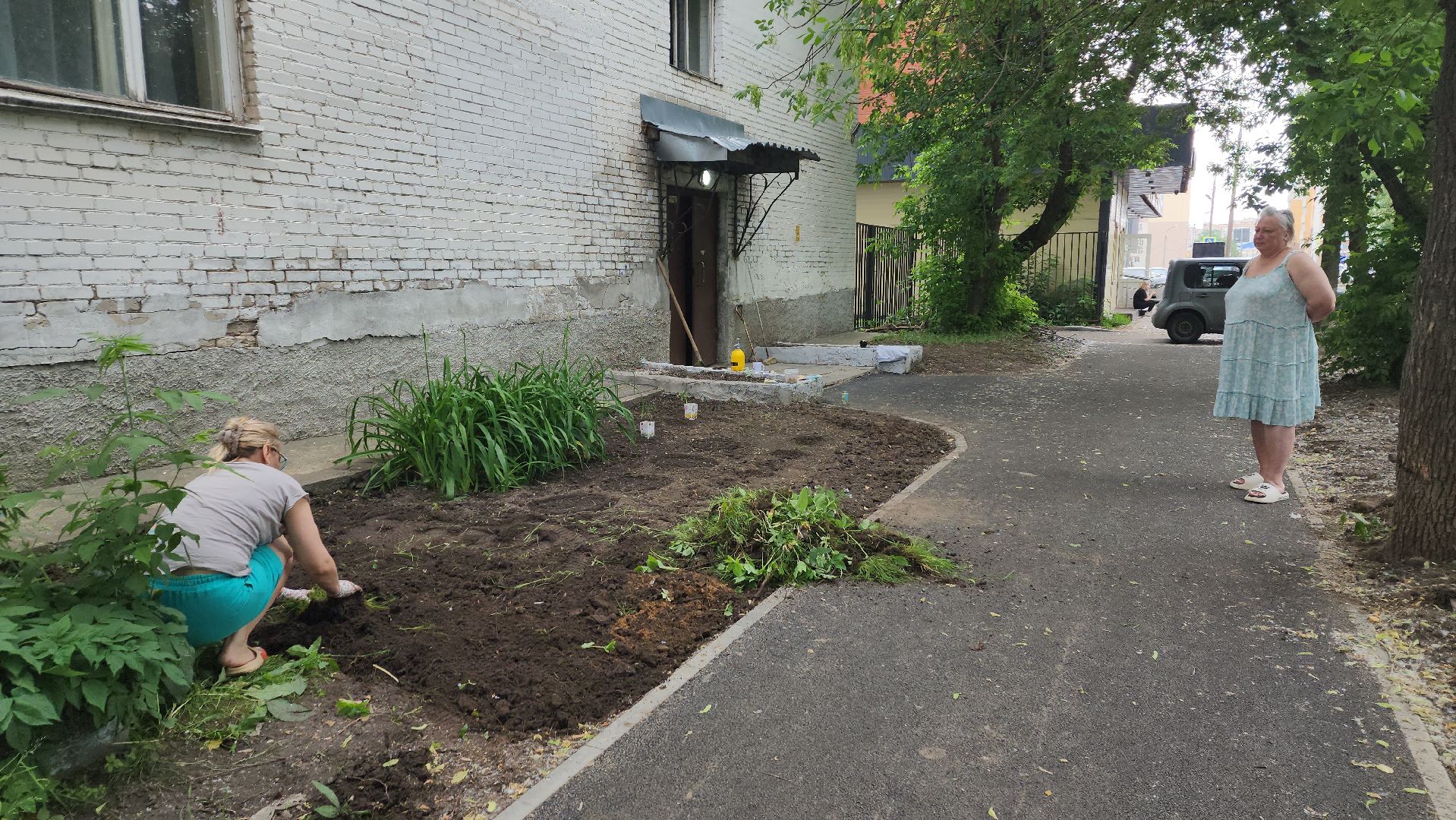 ивантеевка, пушкинский, вертикалки, цветник, жители, инициатива жителей, газон, цветы,асфальтирование дворов,
