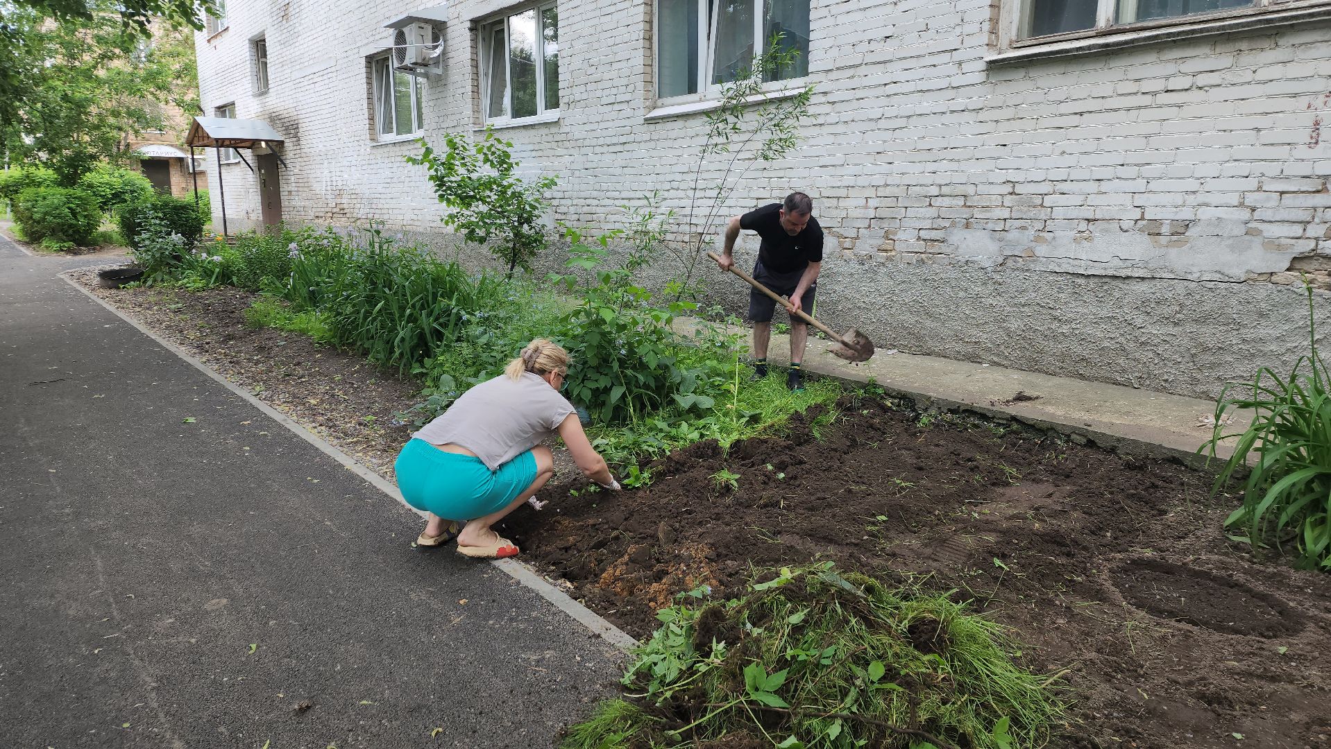 ивантеевка, пушкинский, вертикалки, цветник, жители, инициатива жителей, газон, цветы,асфальтирование дворов,