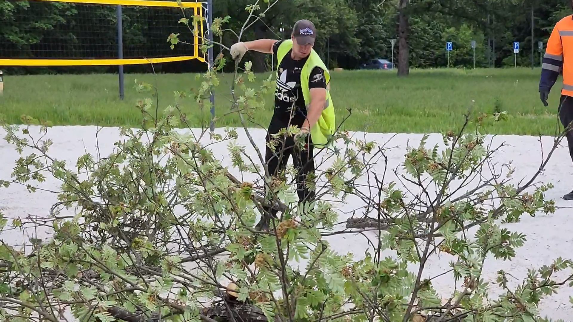 черноголовка, южное озеро, благоустройство,