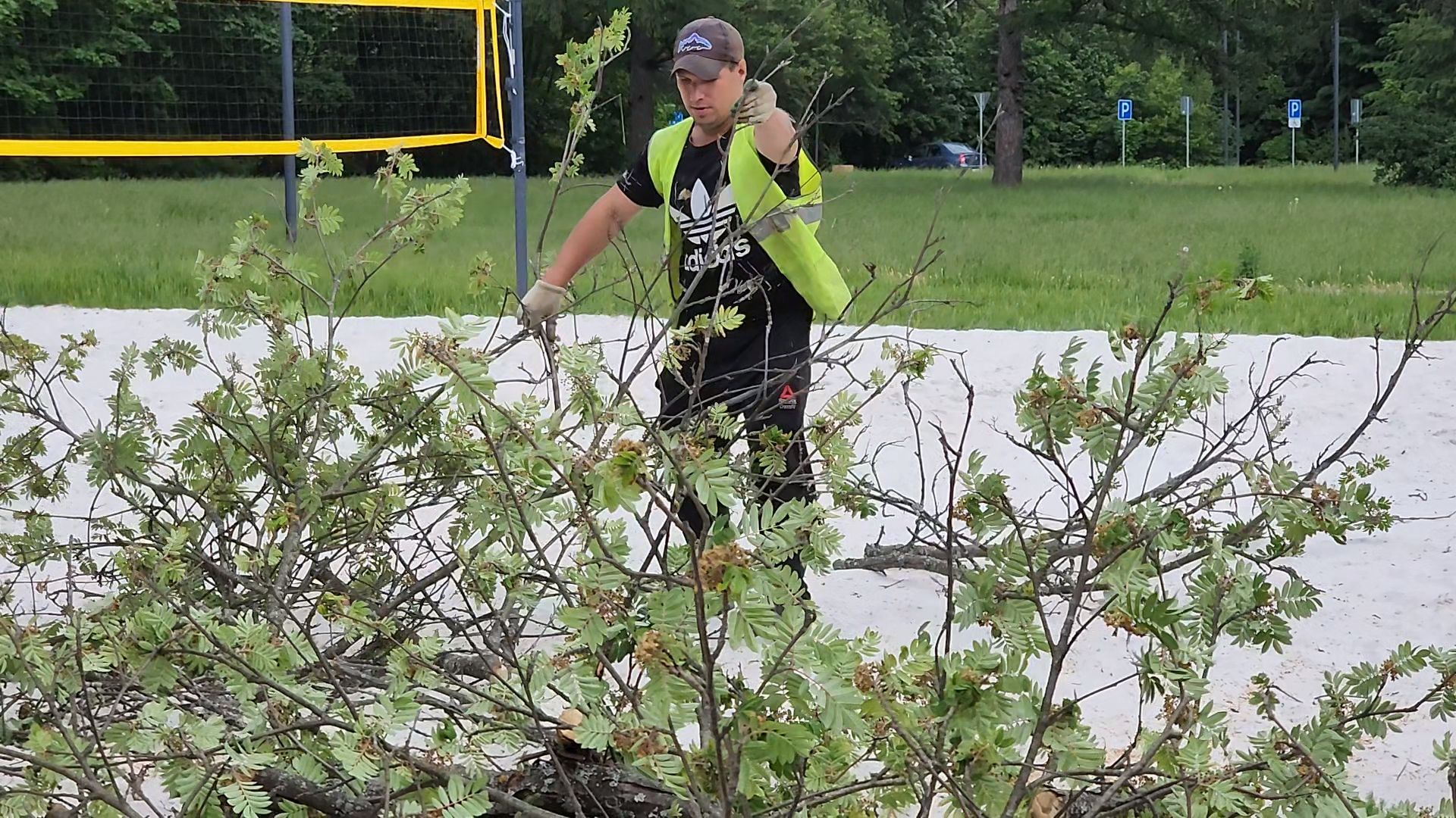 черноголовка, южное озеро, благоустройство,