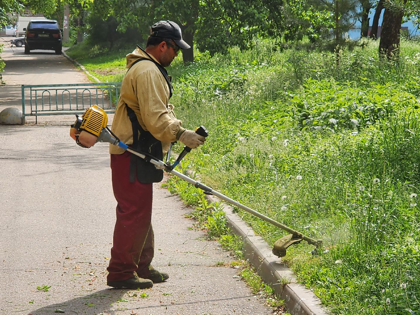 чехов, улица чехова 2, покос травы, содержание придомовой территории, уборка мусора, мбу чеховское благоустройство, озеленение,