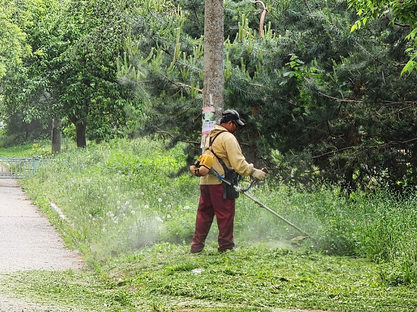 чехов, улица чехова 2, покос травы, содержание придомовой территории, уборка мусора, мбу чеховское благоустройство, озеленение,