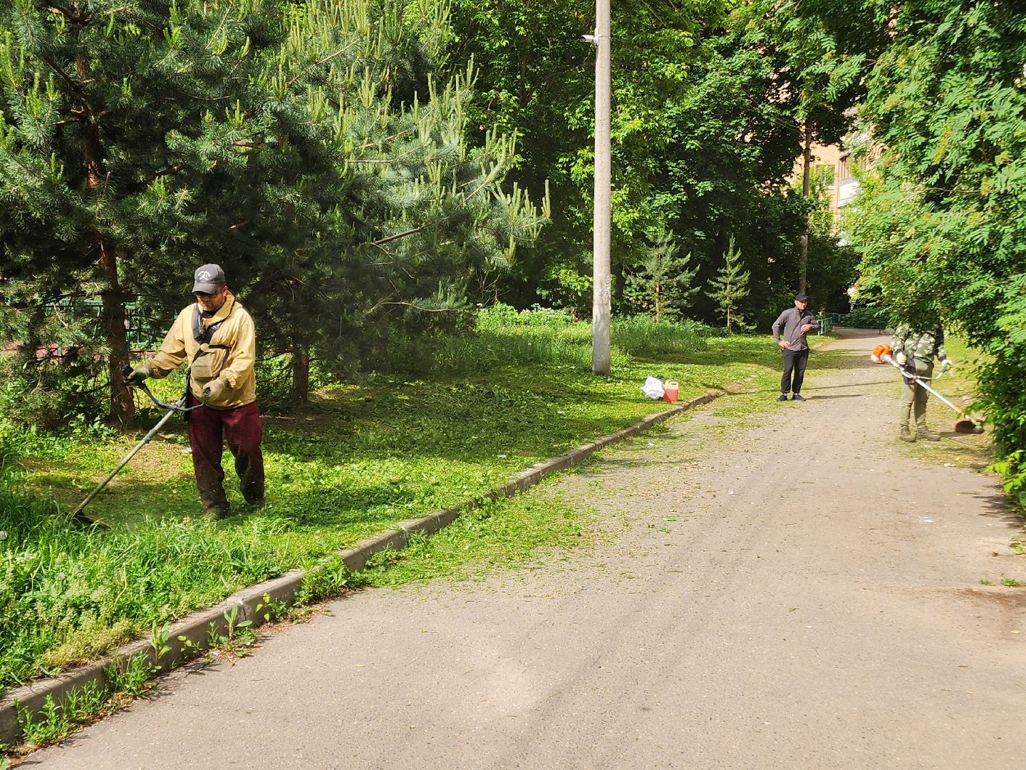 чехов, улица чехова 2, покос травы, содержание придомовой территории, уборка мусора, мбу чеховское благоустройство, озеленение,