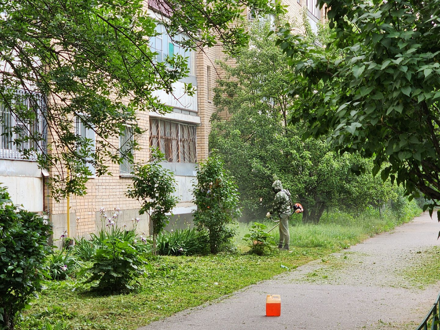 чехов, улица чехова 2, покос травы, содержание придомовой территории, уборка мусора, мбу чеховское благоустройство, озеленение,