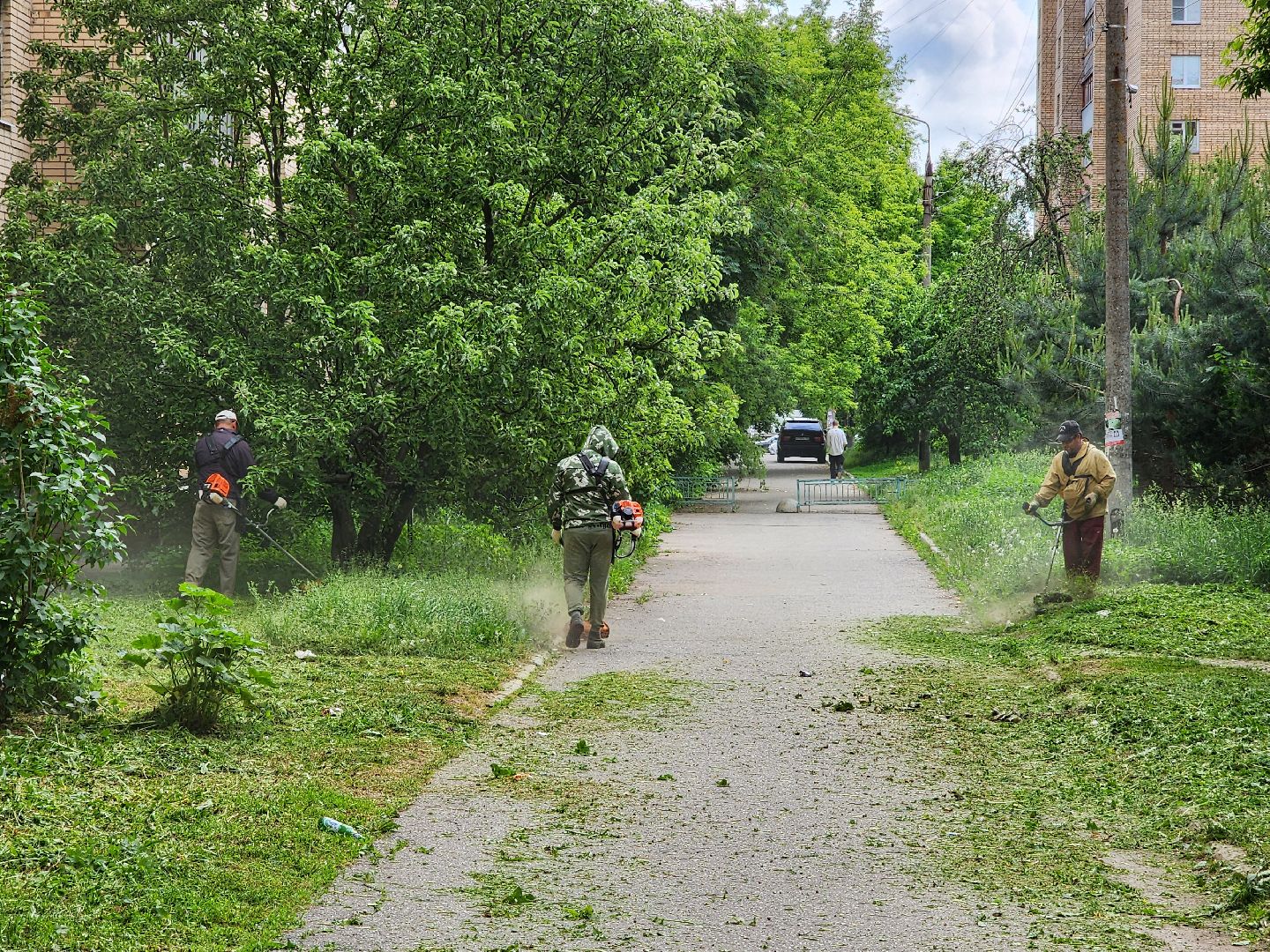 чехов, улица чехова 2, покос травы, содержание придомовой территории, уборка мусора, мбу чеховское благоустройство, озеленение,