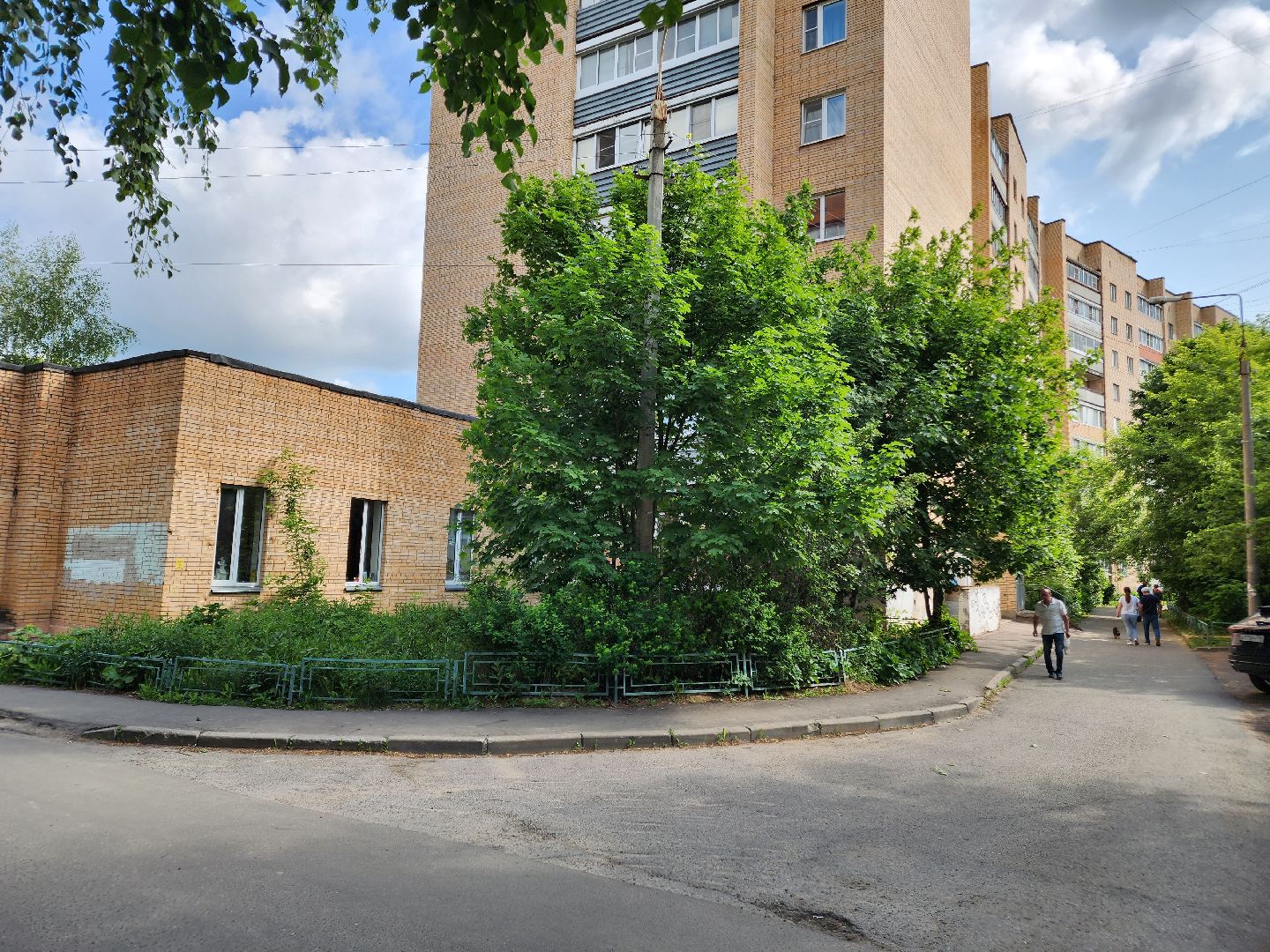 чехов, улица чехова 2, покос травы, содержание придомовой территории, уборка мусора, мбу чеховское благоустройство, озеленение,