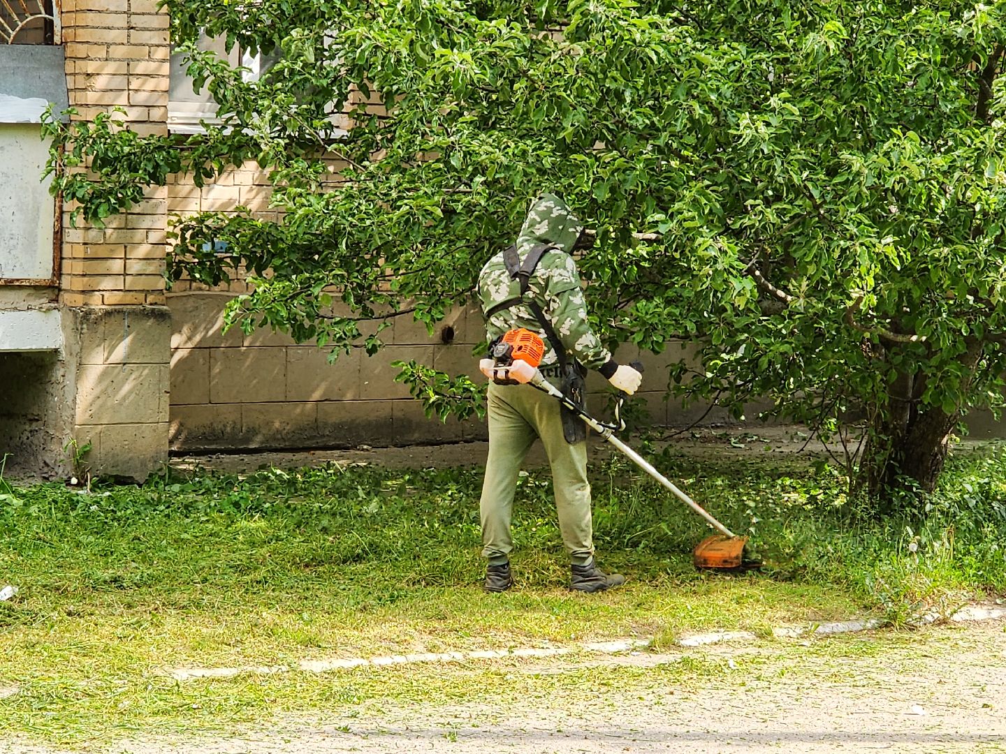 чехов, улица чехова 2, покос травы, содержание придомовой территории, уборка мусора, мбу чеховское благоустройство, озеленение,