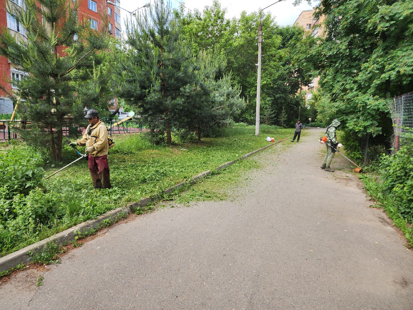 чехов, улица чехова 2, покос травы, содержание придомовой территории, уборка мусора, мбу чеховское благоустройство, озеленение,