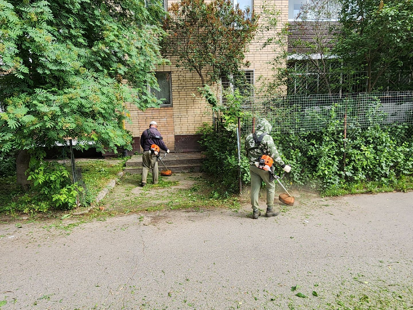 чехов, улица чехова 2, покос травы, содержание придомовой территории, уборка мусора, мбу чеховское благоустройство, озеленение,