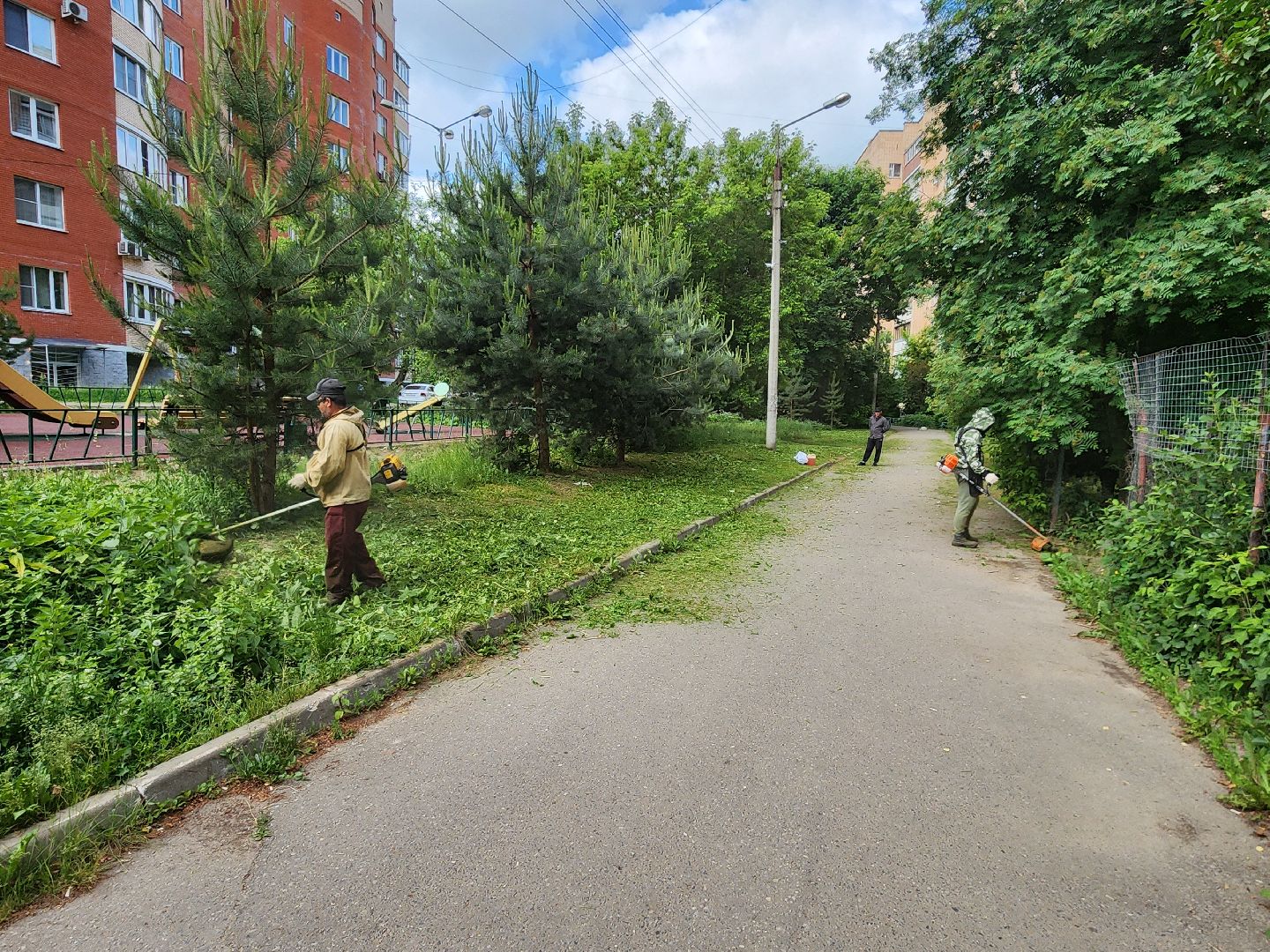 чехов, улица чехова 2, покос травы, содержание придомовой территории, уборка мусора, мбу чеховское благоустройство, озеленение,