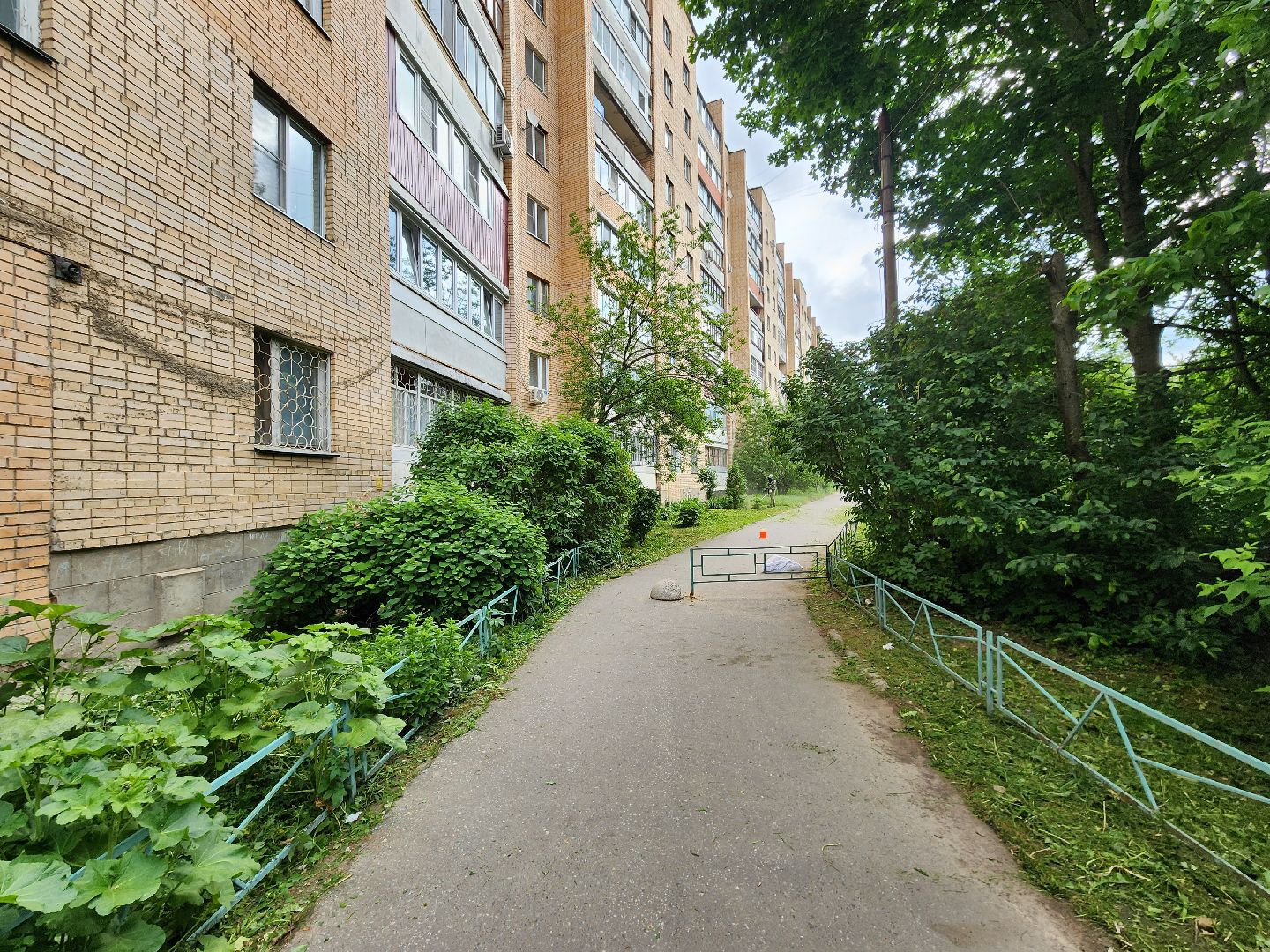 чехов, улица чехова 2, покос травы, содержание придомовой территории, уборка мусора, мбу чеховское благоустройство, озеленение,