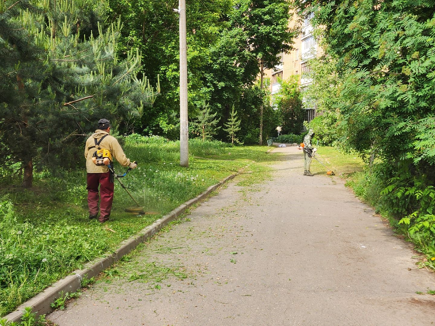 чехов, улица чехова 2, покос травы, содержание придомовой территории, уборка мусора, мбу чеховское благоустройство, озеленение,