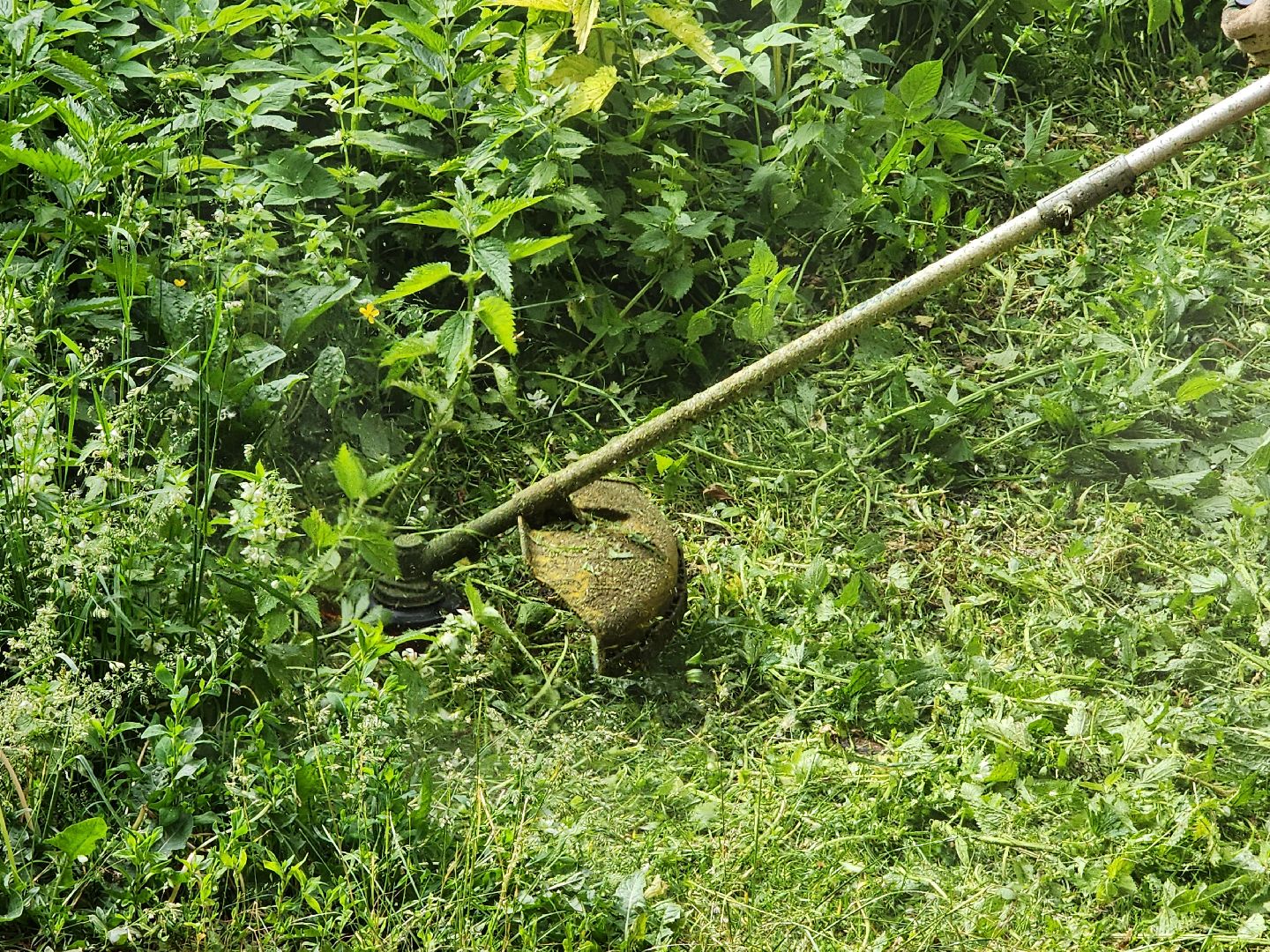 чехов, улица чехова 2, покос травы, содержание придомовой территории, уборка мусора, мбу чеховское благоустройство, озеленение,