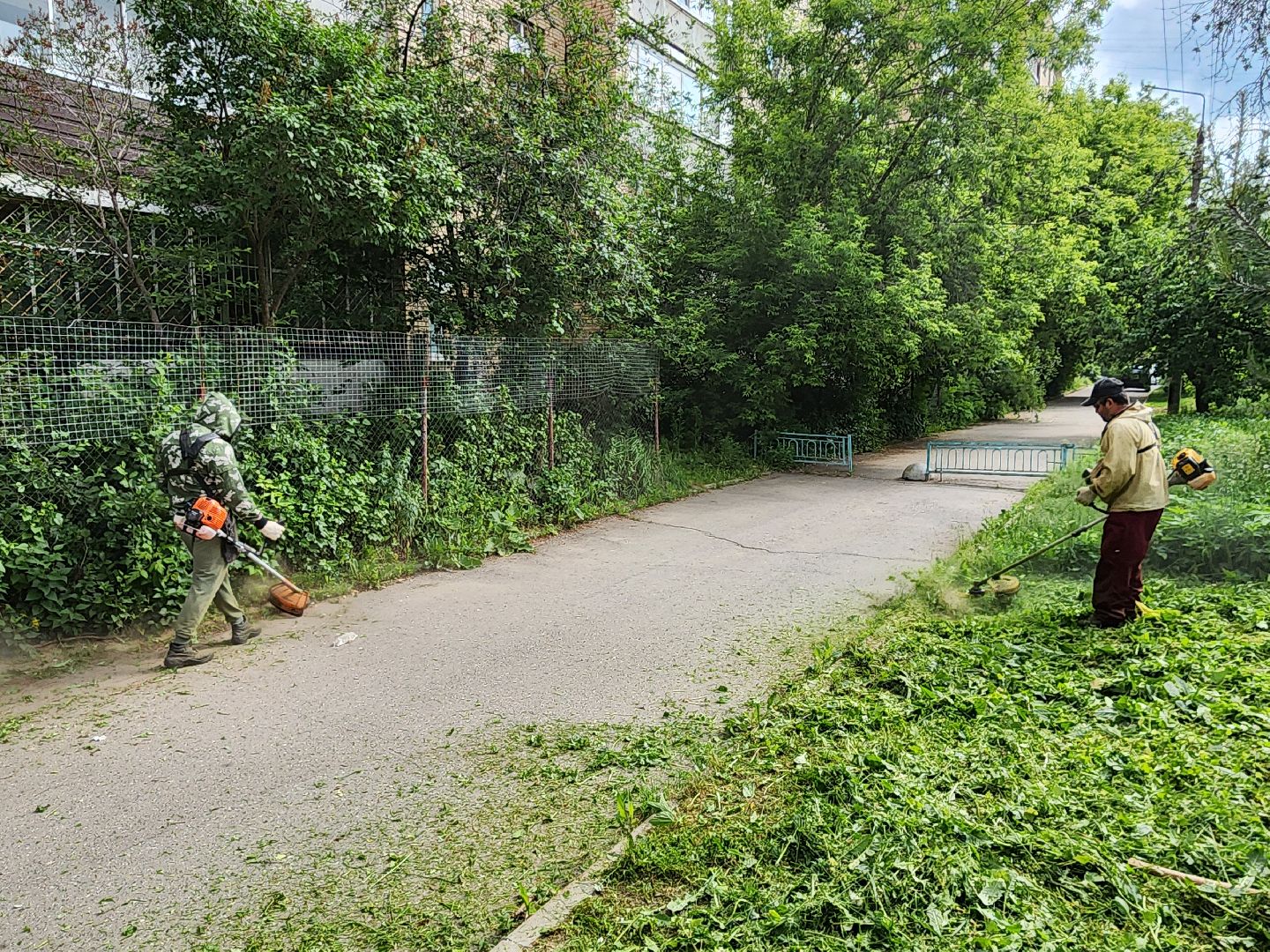чехов, улица чехова 2, покос травы, содержание придомовой территории, уборка мусора, мбу чеховское благоустройство, озеленение,