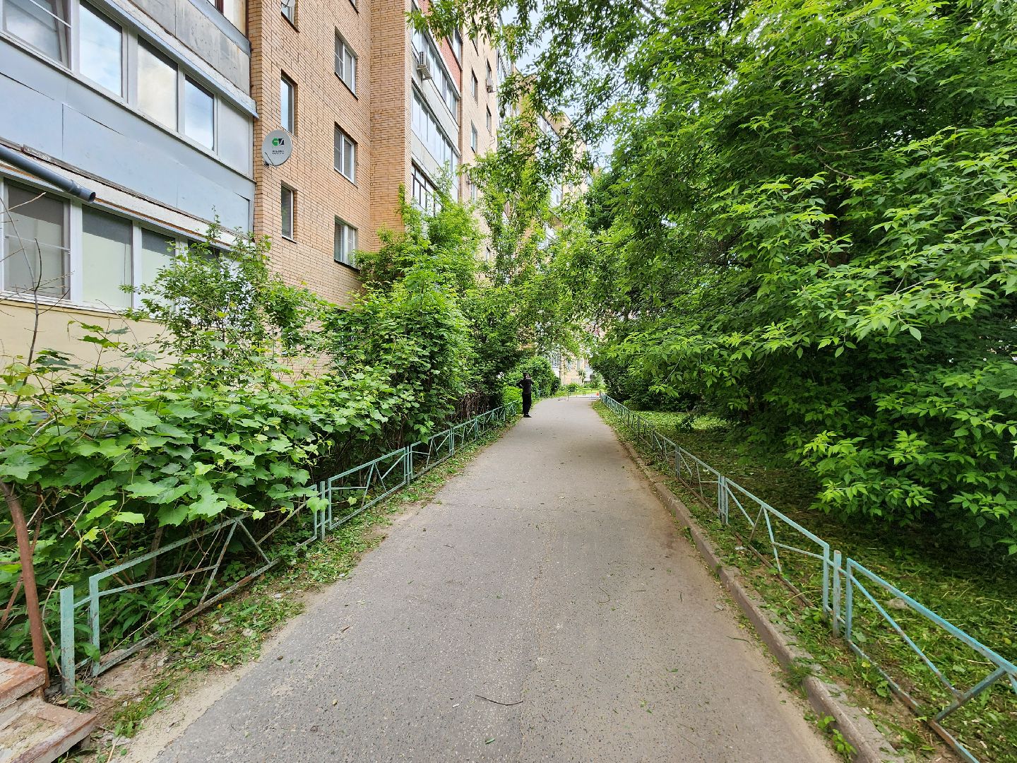 чехов, улица чехова 2, покос травы, содержание придомовой территории, уборка мусора, мбу чеховское благоустройство, озеленение,