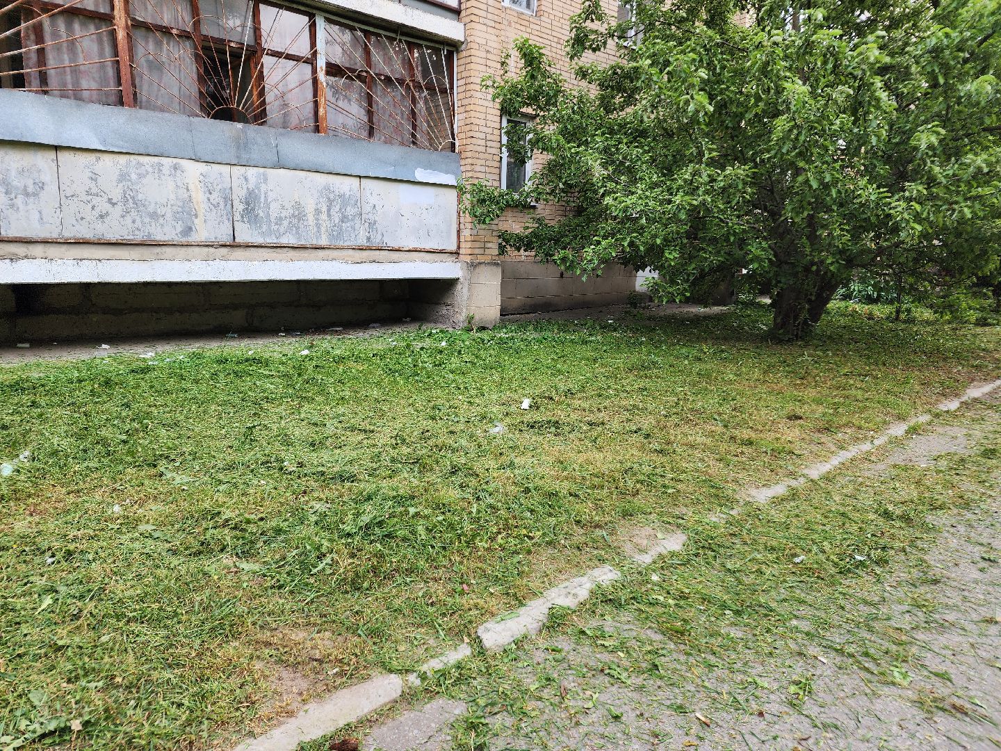 чехов, улица чехова 2, покос травы, содержание придомовой территории, уборка мусора, мбу чеховское благоустройство, озеленение,