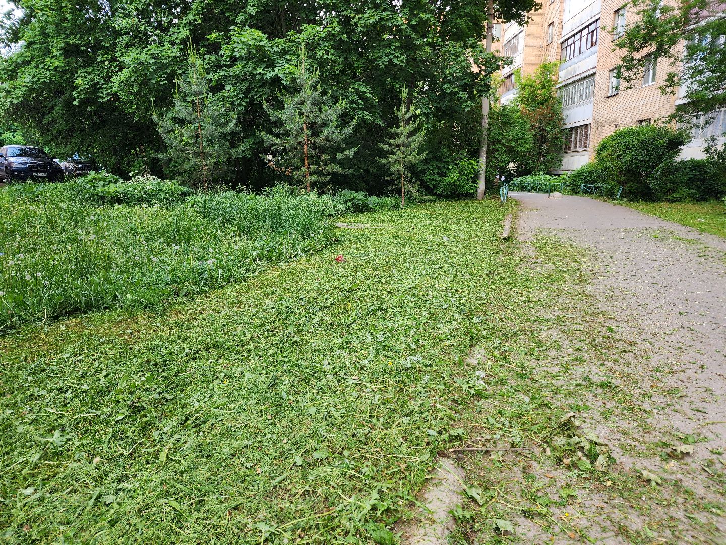 чехов, улица чехова 2, покос травы, содержание придомовой территории, уборка мусора, мбу чеховское благоустройство, озеленение,