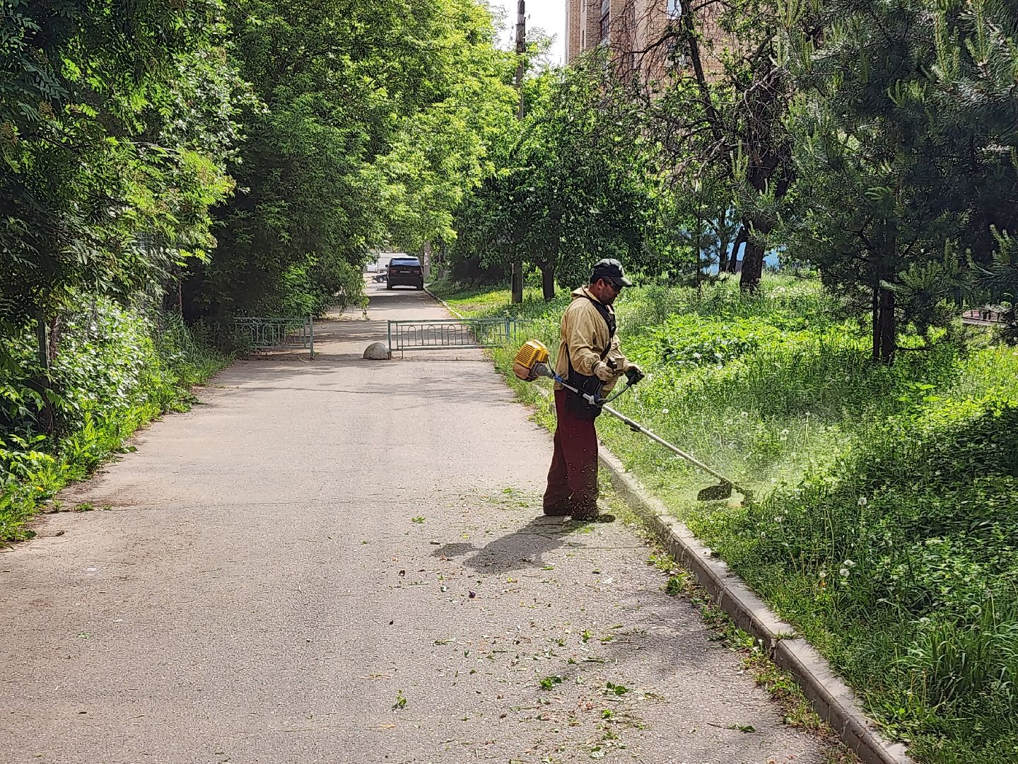 чехов, улица чехова 2, покос травы, содержание придомовой территории, уборка мусора, мбу чеховское благоустройство, озеленение,