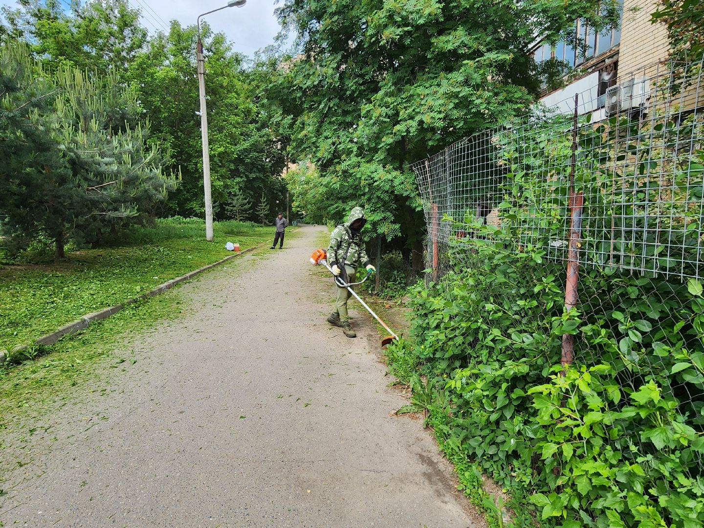 чехов, улица чехова 2, покос травы, содержание придомовой территории, уборка мусора, мбу чеховское благоустройство, озеленение,