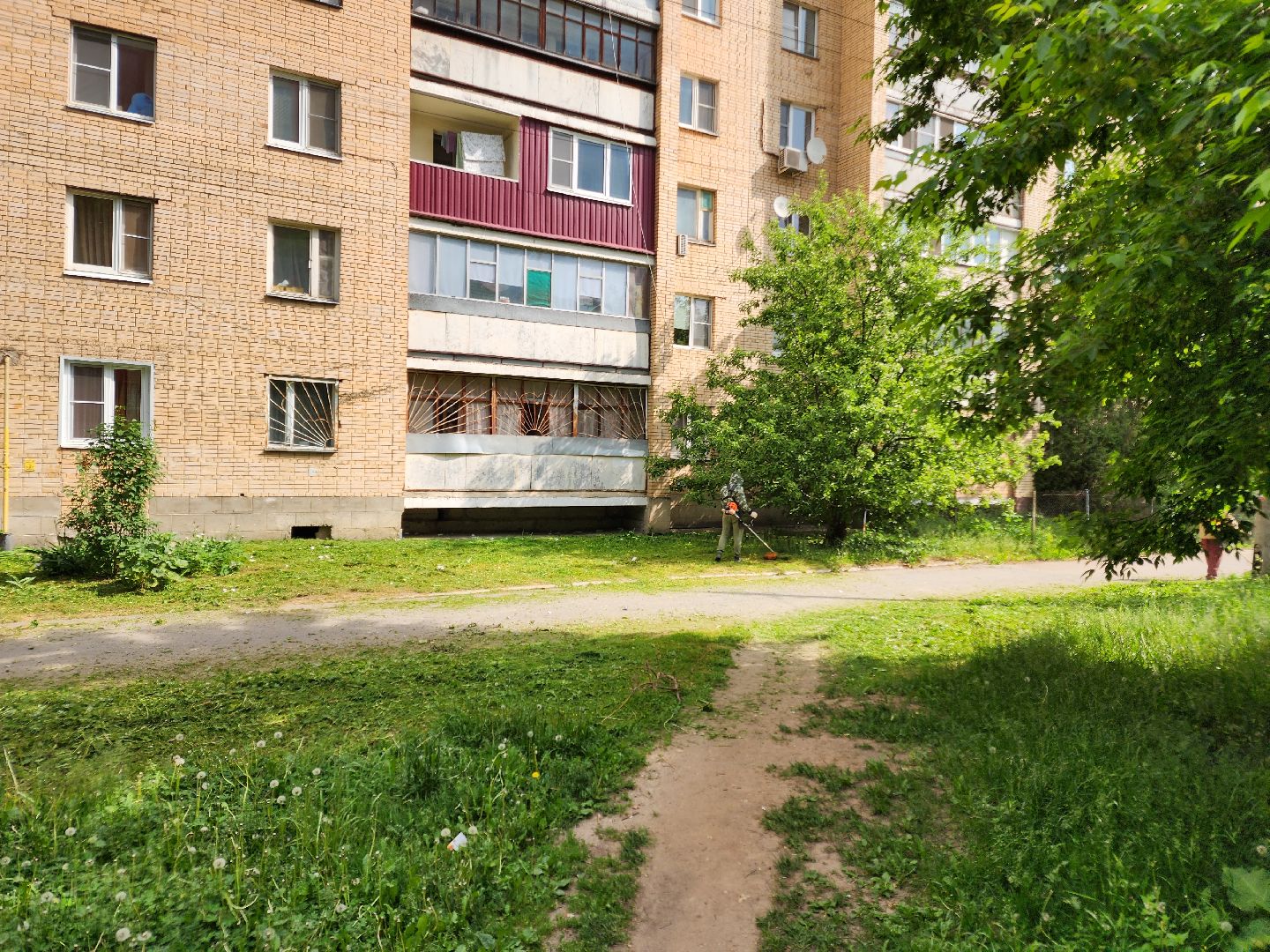 чехов, улица чехова 2, покос травы, содержание придомовой территории, уборка мусора, мбу чеховское благоустройство, озеленение,