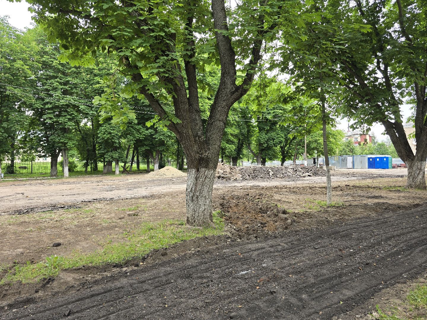 Коломна, благоустройство, аллея, зона отдыха,