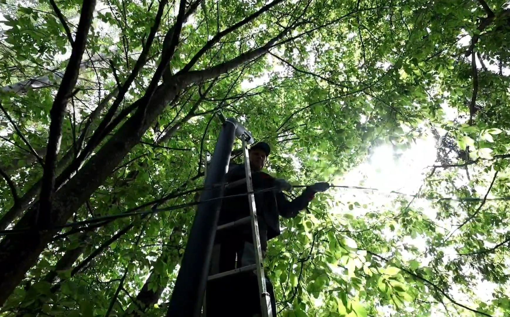 свет, фонарь, электричество,