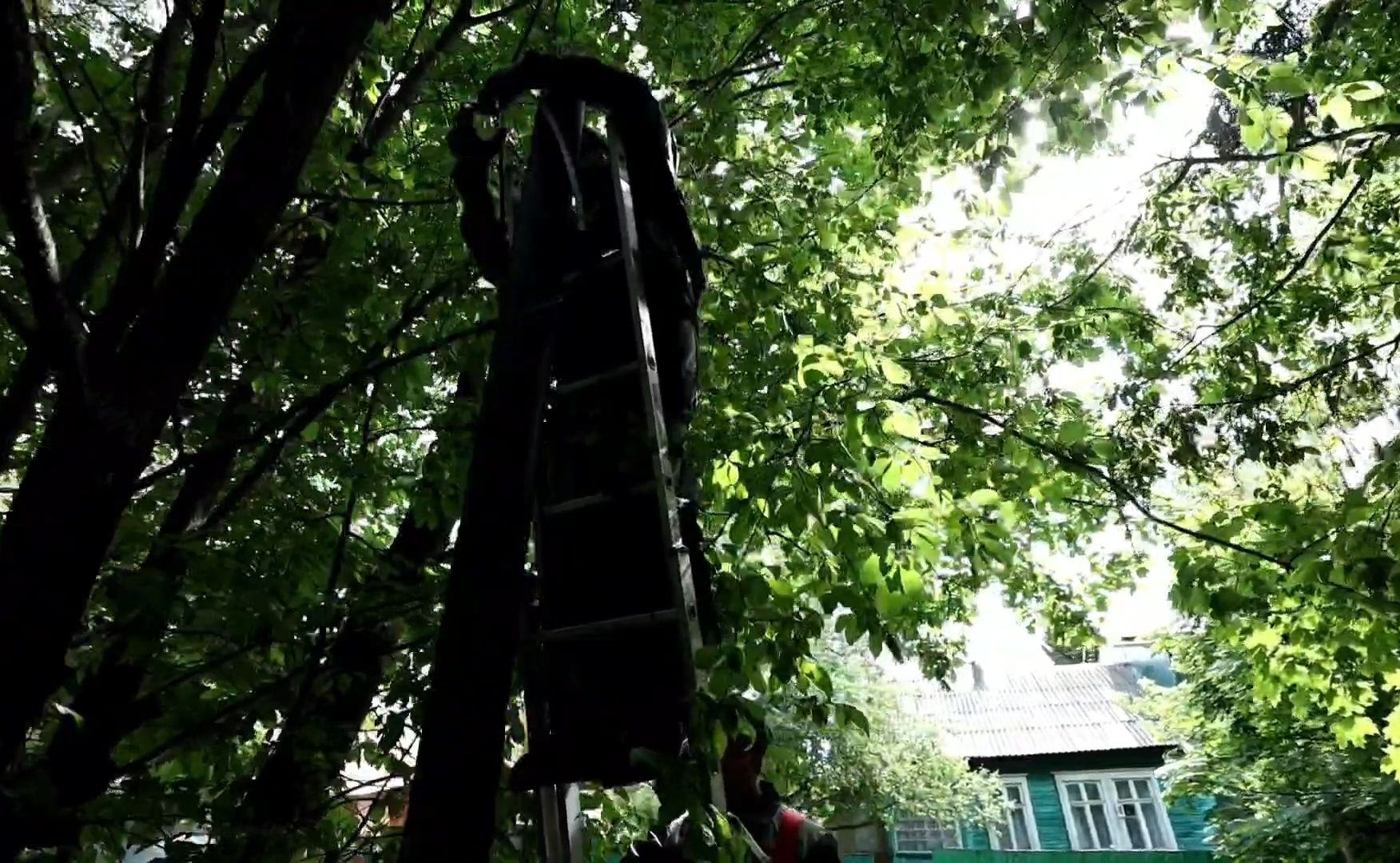 свет, фонарь, электричество,