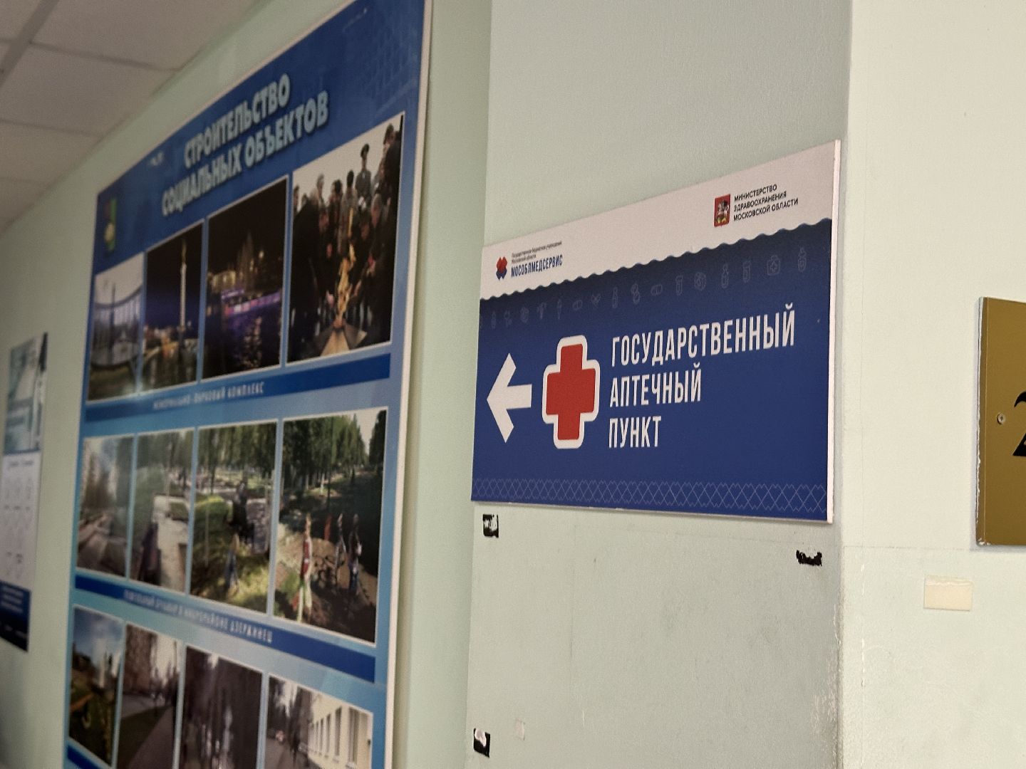 льготные лекарства, телемедицина, соцработники,