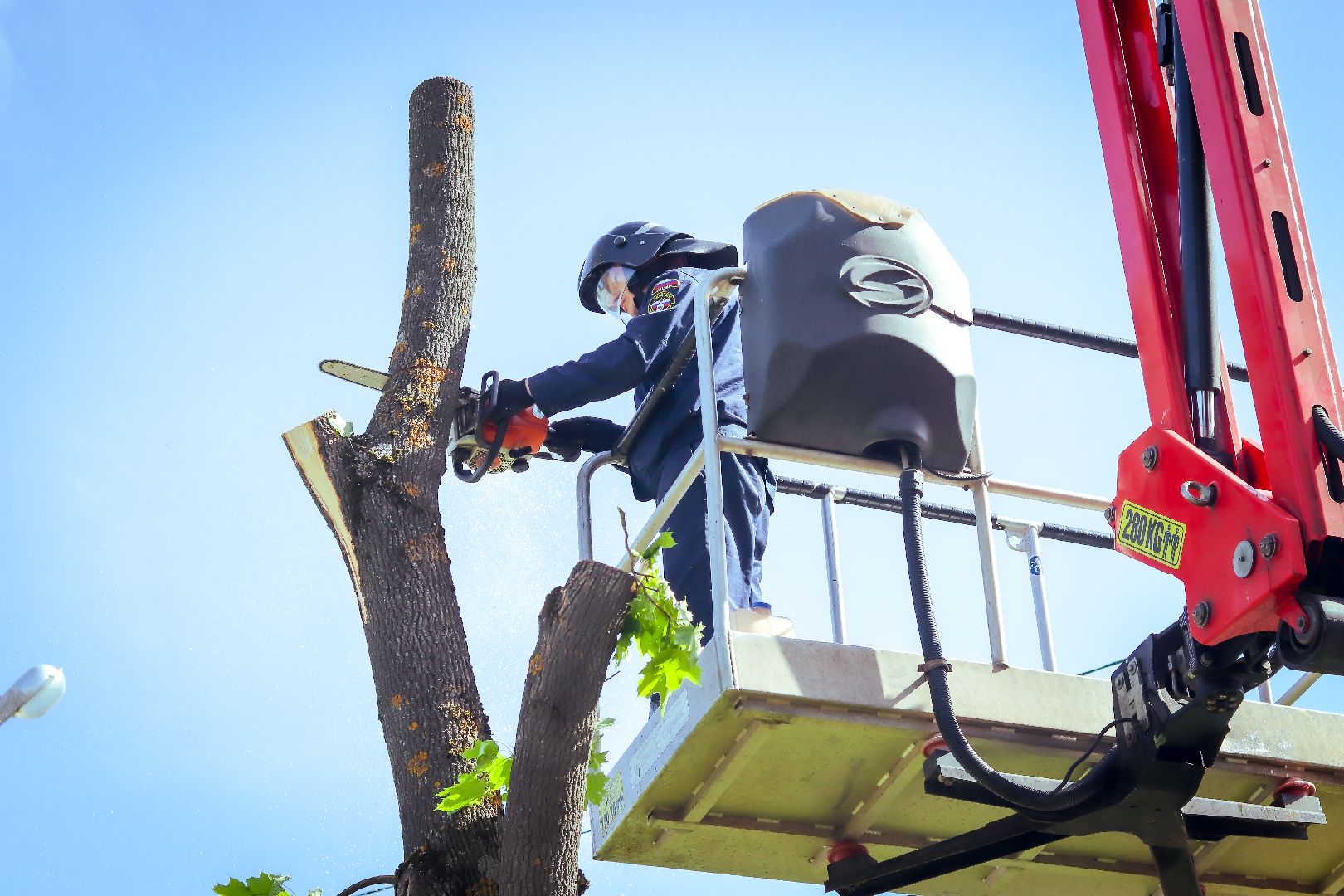 клин, благоустройство, жкх, опиловка деревьев,