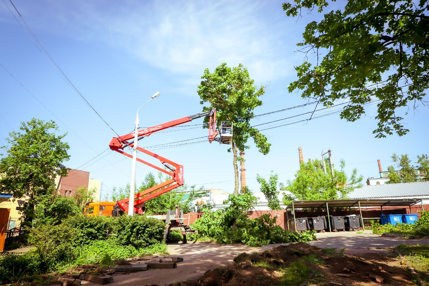 клин, благоустройство, жкх, опиловка деревьев,