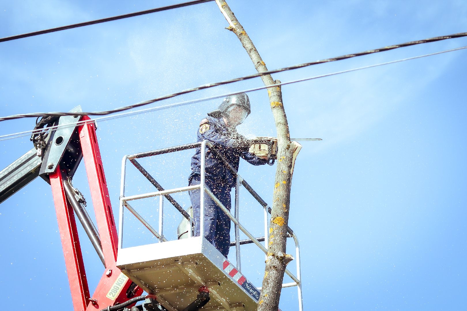 клин, благоустройство, жкх, опиловка деревьев,