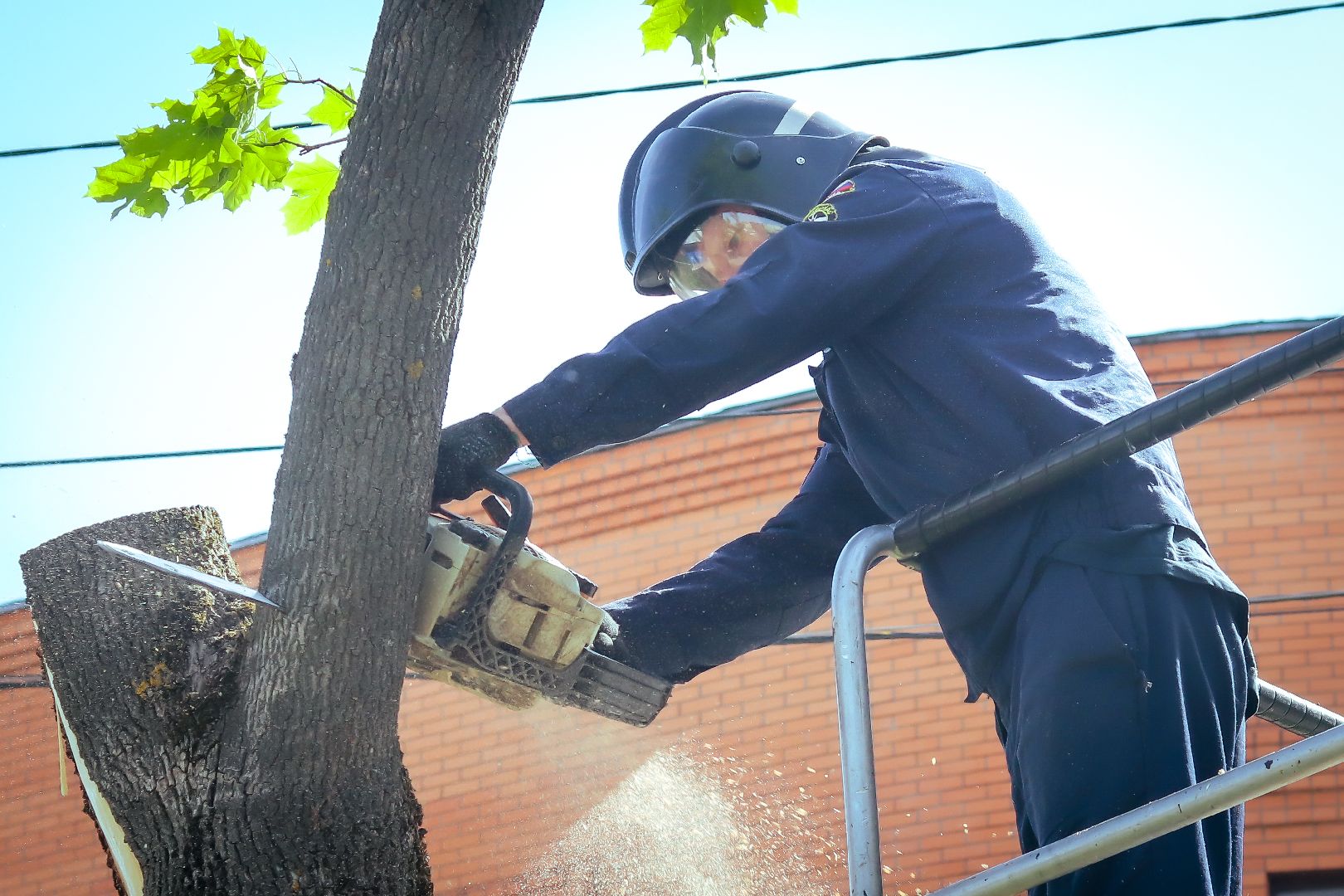 клин, благоустройство, жкх, опиловка деревьев,