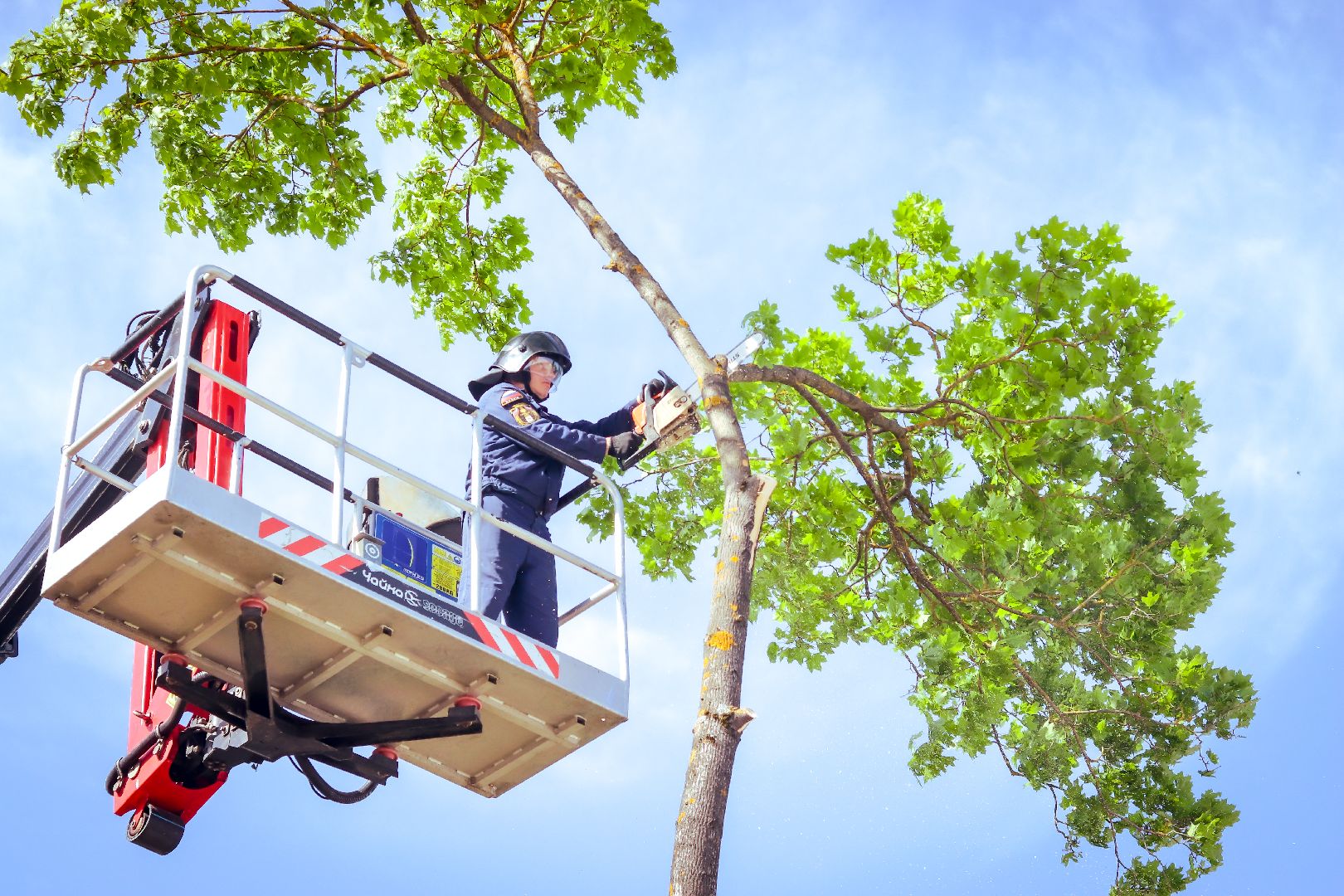 клин, благоустройство, жкх, опиловка деревьев,