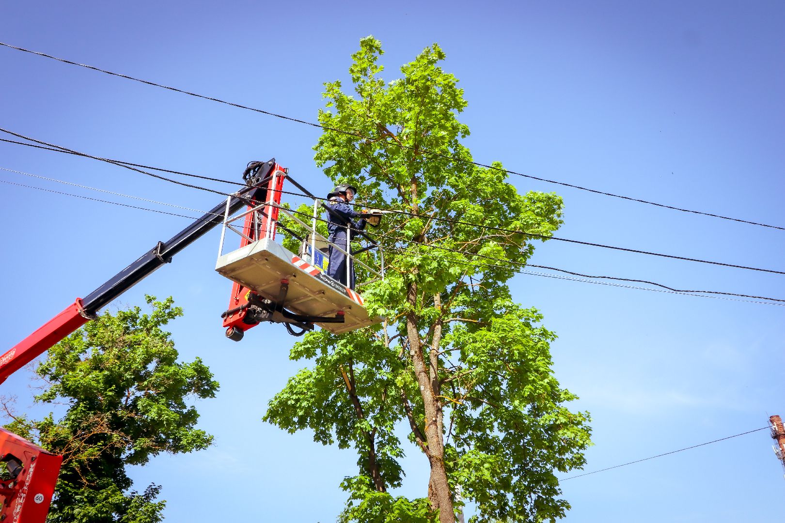 клин, благоустройство, жкх, опиловка деревьев,