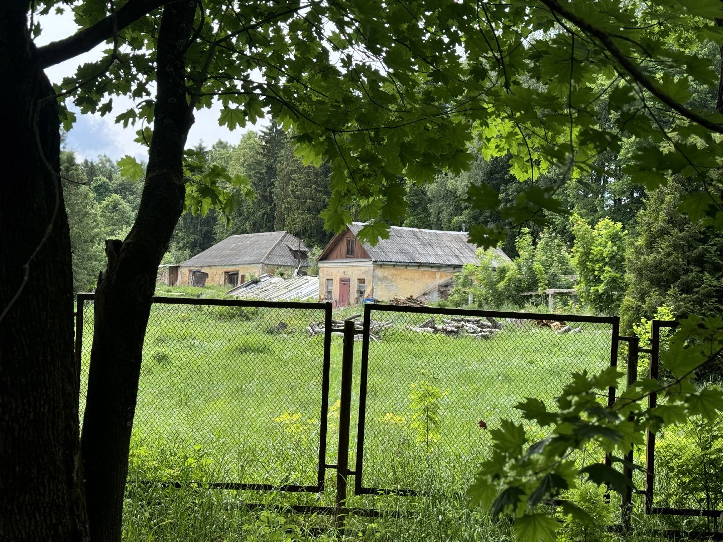 экскурсия, усадьба суханово, ленинский городской округ,