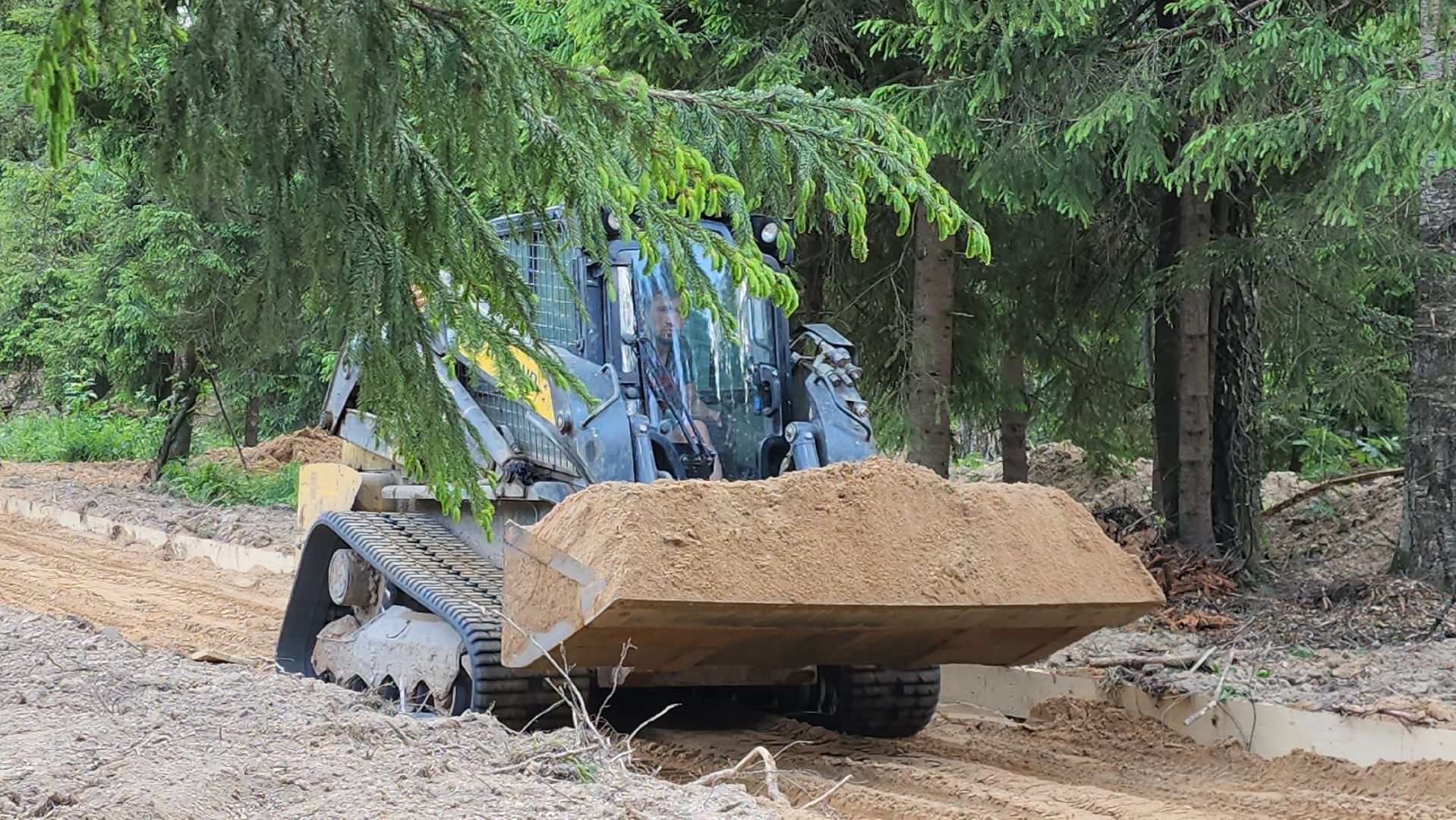 истра, лесопарк, благоустройство,