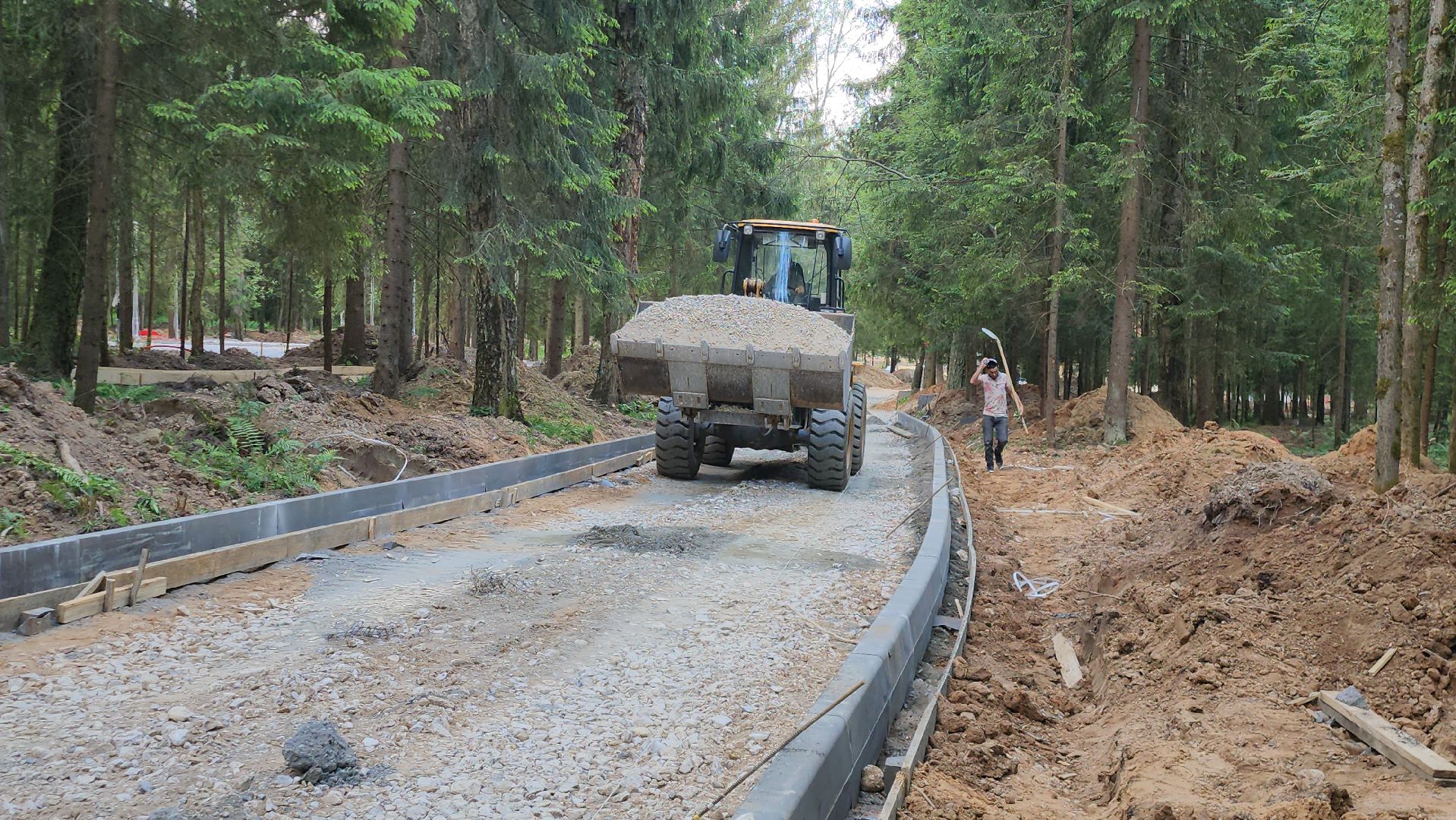 истра, лесопарк, благоустройство,